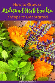 How to start an herb garden for beginners find an optimal space for growing herbs. Medicinal Herb Gardening For Beginners The Beginner S Garden