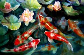 There are currently 12 colorful young koi fish in this pond as well as 2 goldfish. Koi Pond Wallpaper Hd 1504x991 Wallpaper Teahub Io
