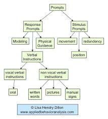 Pin On Bcba Exam Study Guide