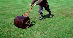 Sloped ground in your backyard may cause water runoff, soil erosion, uneven moisture retention and difficulty when mowing your grass or tilling your flowerbeds. Lawn Roller Flattening Grass Feat Schools Week