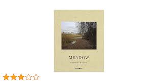 Amazon.com: Nicholas Pollack: Meadow: 9783777439945: Pollack, Nicholas,  Sullivan, Robert, Stilgoe, John, Shullenberger, William, Tuan, Yi-Fu,  McKibben, Bill: Books
