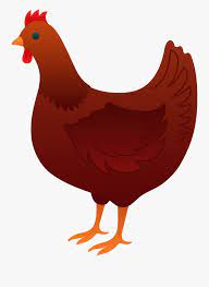 Clip Art Chicken Sleeping Hen Clip Art Free Transparent Clipart Clipartkey Download 81,071 hen clip art and illustrations.
