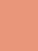 Browns & oranges a sandy tan with a comfortable cashmere feel. Dark Salmon E9967a Hex Color