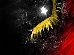 Bendera timor timur, yang mungkin menunjukkan sebagai huruf tl pada beberapa platform. Timor Leste Wallpapers Wallpaper Cave