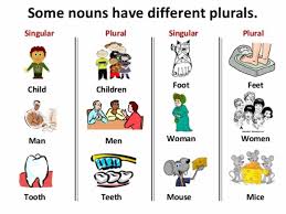 Singular And Plural Nouns Definitions Rules Examples Eslbuzz Learning English Plurals Singular And Plural Nouns Plural Nouns