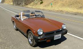 Image result for Russet 1979 MG