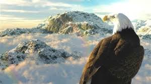 Ronald W. Keller Sr. Obituary