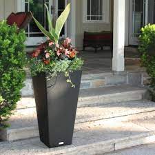 36l x 11w x 10.8h. Extra Large Planters You Ll Love In 2021 Wayfair