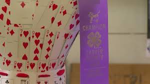 Glue only the outer section of the skirt down. Teen Crafts Dress Out Of 2 000 Playing Cards Youtube