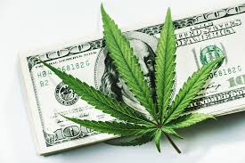 Meet The New Horizons Junior Marijuana Growers Index Etf