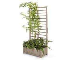 Gartenmobel Mit Pflanzkasten Rankgitter Tchibo Tchibo Gartenmobel Mit Pflanzkasten Rankgitter Tchibo Gartenmobel Pfl In 2020 Pflanzkasten Rankgitter Pflanzen