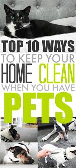 Apr 13, 2018 · keep a house clean with pets. Top Ten Ways To Keep Your House Clean When You Have Pets The Creek Line House