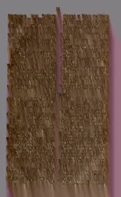 Image result for Synandrodaphne paradoxa