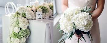 We did not find results for: Top 75 Best Hydrangea Wedding Flower Ideas Hortensia Floral Designs