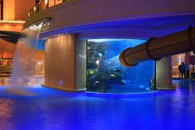 Pin On Cool Aquariums