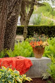 Maybe you would like to learn more about one of these? Best Potting Soil For Outdoor Potted Plants Proven Winners
