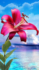 Flowers Magic Touch Hd Live Wallpaper Beautiful Hd Flowers Wallpaper For Girls Ideal For Galaxy S4 Flowers W Attractive Wallpapers Beautiful Nature Nature
