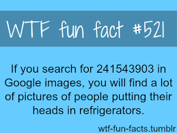 Even though both are different, in a broad sense, they are written in exactly the same language. Tested This And It S True Fun Facts Wtf Fun Facts Funny Facts