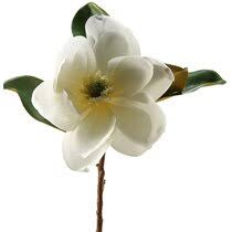 We did not find results for: Magnolia Faux Flowers You Ll Love In 2021 Wayfair