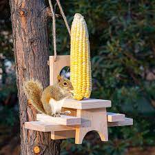 Get it as soon as tue, mar 30. Buy Funpeny Wooden Squirrel Feeder For Outside Outdoors Hanging Squirrels Picnic Table Chipmunk Bench Feeders House With Corn Holder For Outdoor Garden Yard Online In Indonesia B08rxxvfnb