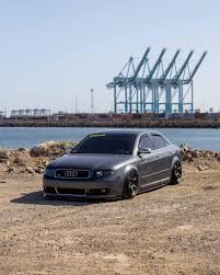 Image result for Citrus Yellow 2004 A4