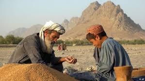 Photograph by karl wutt in pashai: Neue Entwicklungsstrategie Fur Afghanistan Nachrichten Analysen Der Globale Blick Auf Schlagzeilen Dw 10 03 2014
