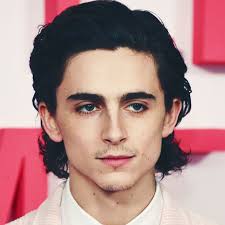 Timothée's mother is jewish (of half austrian jewish and half russian jewish ancestry). Timothee Chalamet Wears Glossier Merch To Uncut Gems Pop Up