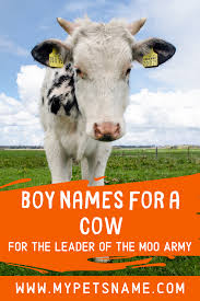 Black And White Cow Name Boy Names For A Cow In 2020 Cute Pet Names Cow Names Good Boy Names