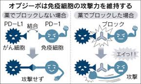 「オプジーボ」の画像検索結果