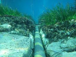 「海底通訊電纜」的圖片搜尋結果