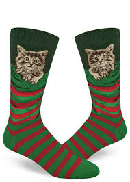 Cute christmas kitten on red background. Christmas Cat Socks Kitten In A Stocking Fun Men S Socks Cute But Crazy Socks