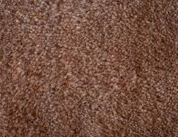 Eine solche grenze ist bei einem hochflor teppich erreicht, denn diese können nicht mit einem reinigungsroboter zuverlässig saubergesaugt werden. Hochflorteppich Reinigen So Machen Sie Es Richtig