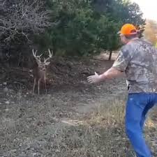 A Men Wants To Hug A Deer No One Expect This Man Hug Hug Gif Hug