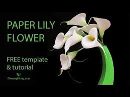 I have been through many craft stores, and. Diy Paper Calla Lily Flower Free Template And Tutorial Paper Flower Tutorial Paper Flowers Diy Easy Paper Flowers