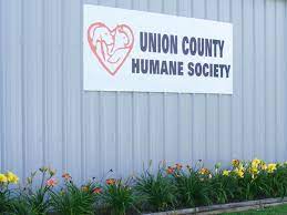 Dogs For Adoption Union County Veterinary Services Humane Society