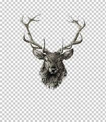 Red Deer Reindeer Elk Drawing Png Animals Antler Art Deer Downfall Elk Drawing Red Deer Deer