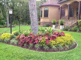 Garten Prasentieren Teilen Sie Bilder Von Pflanzen Blumen Und Landschaft Ideen Bild In 2020 Landscaping Around Trees Cheap Landscaping Ideas Inexpensive Landscaping