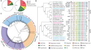 Reason for this is, while i believe nate robinson is underappreciated for his career in recent years we've seen the number of teams running small ball lineups on a regular basis increase. Excisionase In Pf Filamentous Prophage Controls Lysis Lysogeny Decision Making In Pseudomonas Aeruginosa Li 2019 Molecular Microbiology Wiley Online Library