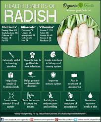 Penyembuhan Alami Manfaat Lobak Putih By Melilea Surabaya Makanan Sehat Melilea Organ Health Benefits Of Radishes Coconut Health Benefits Lemon Benefits