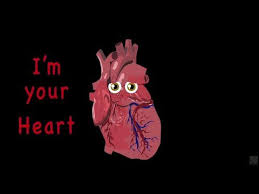 The Human Body For Kids Learn About The Human Body For Children Heart Song For Kids Human Body Systems Circulatory System For Kids Body Systems