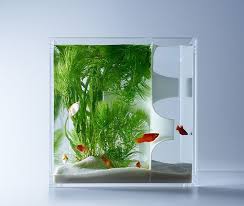 Artistic Aquariums From Haruka Misawa Gift Ideas Creative Spotting Aquarium Design Aquarium Waterscape