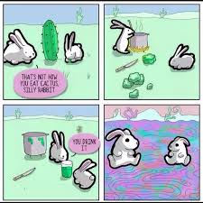 These pores absorb water and humidity from the air. Cactus Justpost Virtually Entertaining
