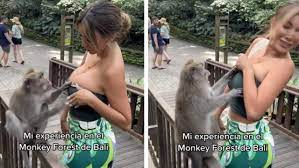 Monkey and women sex