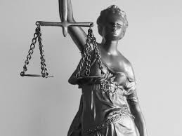 Image result for Justicia francoiseana
