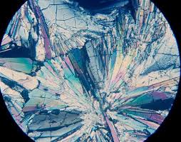 Sugar Under A Microscope Life Is Art Things Under A Microscope Pictures Of Insects Microscopic Images