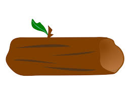 Image result for log