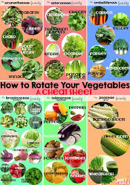 how to rotate your leafy greens and other veggies just juice