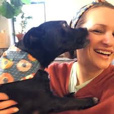 Pumpkin Spice Matching Dog Owner Headband Set, Fall Dog Bandana, Dog Owner  Matching Headband and Bandana, Halloween Dog Bandana