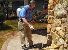 Understand what customers want from their pest control service. About Us North Georgia Roach Termite Control