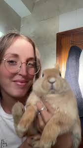 Les Puedo Poner La Corteza Del Coco A Los Conejos